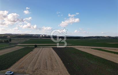 Alandüzünde Yol Kenarı 3.800 m² Satılık Yatırımlık Tarla