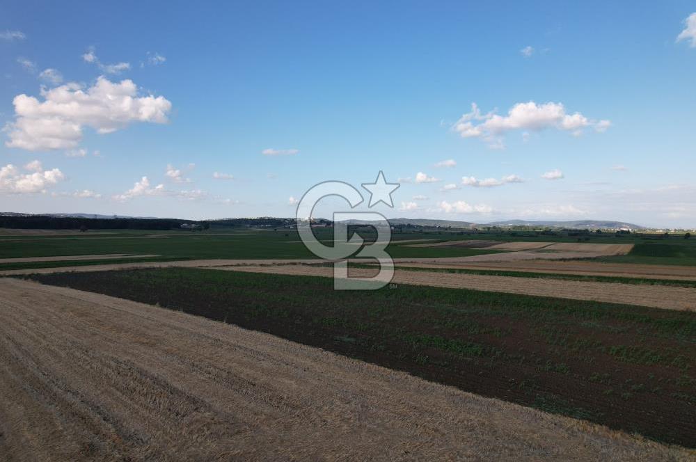Alandüzünde Yol Kenarı 3.800 m² Satılık Yatırımlık Tarla