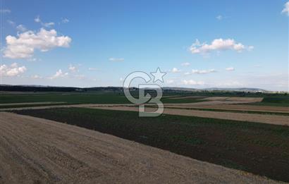Alandüzünde Yol Kenarı 3.800 m² Satılık Yatırımlık Tarla