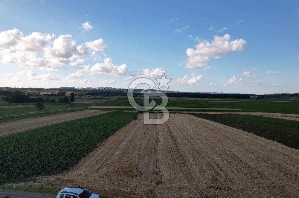 Alandüzünde Yol Kenarı 3.800 m² Satılık Yatırımlık Tarla