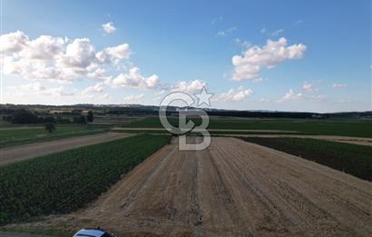 Alandüzünde Yol Kenarı 3.800 m² Satılık Yatırımlık Tarla
