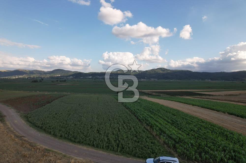 Alandüzünde Yol Kenarı 3.800 m² Satılık Yatırımlık Tarla