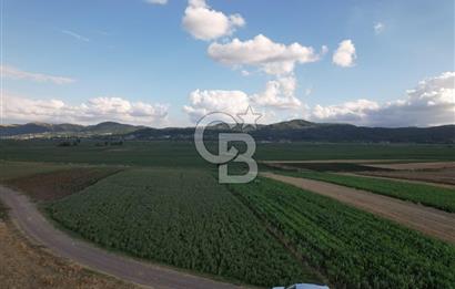 Alandüzünde Yol Kenarı 3.800 m² Satılık Yatırımlık Tarla