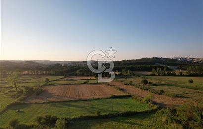 Değeri Her Geçen Gün Artan Bölgede 560 m² Satılık Arsa!