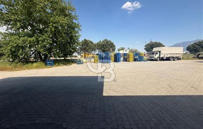 MUOSB'de Cadde Üzeri 1000m² Kiralık Fabrika