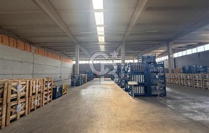 MUOSB'de Cadde Üzeri 1000m² Kiralık Fabrika