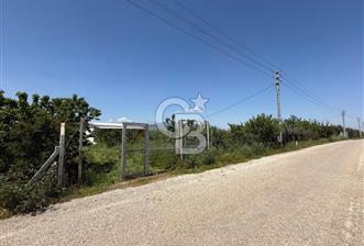 Kemalpaşa Ören'de 4275m² İçinde Elektrik, Su, Evi Olan Bahçe - 3 - 361018