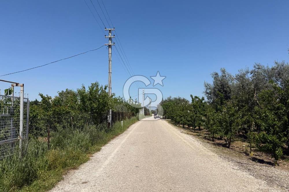 Kemalpaşa Ören'de 4275m² İçinde Elektrik, Su, Evi Olan Bahçe
