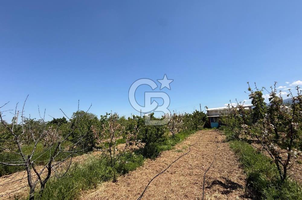 Kemalpaşa Ören'de 4275m² İçinde Elektrik, Su, Evi Olan Bahçe
