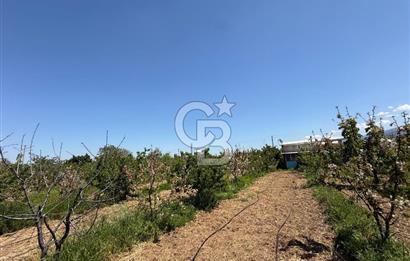 Kemalpaşa Ören'de 4275m² İçinde Elektrik, Su, Evi Olan Bahçe