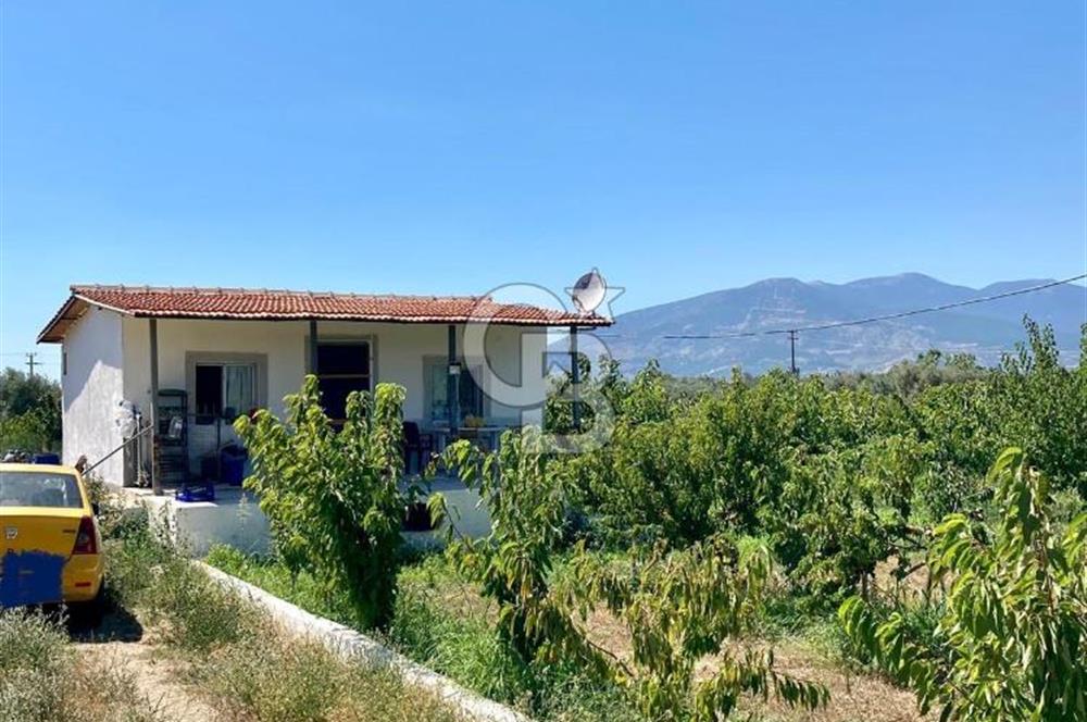 Kemalpaşa Ören'de 4275m² İçinde Elektrik, Su, Evi Olan Bahçe