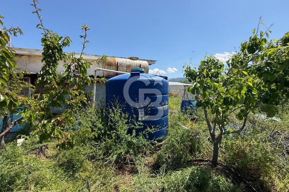 Kemalpaşa Ören'de 4275m² İçinde Elektrik, Su, Evi Olan Bahçe