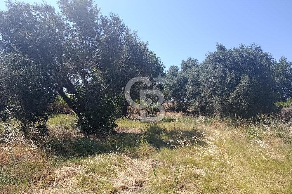 MANİSA AKHİSAR KAYALIOĞLU MAHALLESİ'NDE SATILIK 460 m² 4 KAT İMARLI ARSA