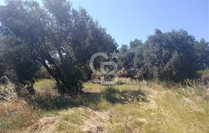 MANİSA AKHİSAR KAYALIOĞLU MAHALLESİ'NDE SATILIK 460 m² 4 KAT İMARLI ARSA