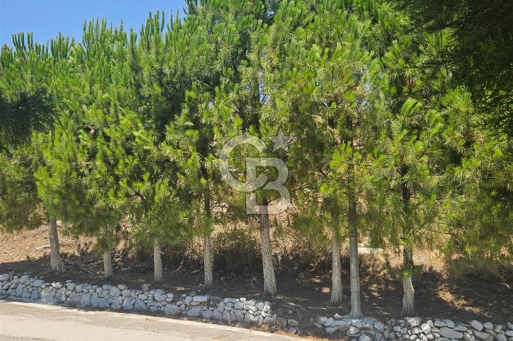 Muğla, Milas Bozalan Mahallesi Deniz Yıldızı Sitesi'nde Deniz ve Doğa Manzaralı 3+1 Satılık Dubleks Villa