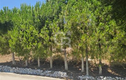 Muğla, Milas Bozalan Mahallesi Deniz Yıldızı Sitesi'nde Deniz ve Doğa Manzaralı 3+1 Satılık Dubleks Villa