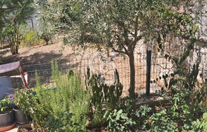 Muğla, Milas Bozalan Mahallesi Deniz Yıldızı Sitesi'nde Deniz ve Doğa Manzaralı 3+1 Satılık Dubleks Villa