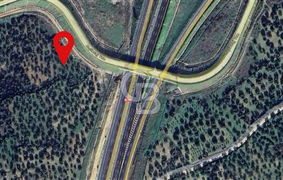 CB ODAK'TAN Zeytindağ'da 3737 m2 Yola cepheli Satılık Zeytinlik