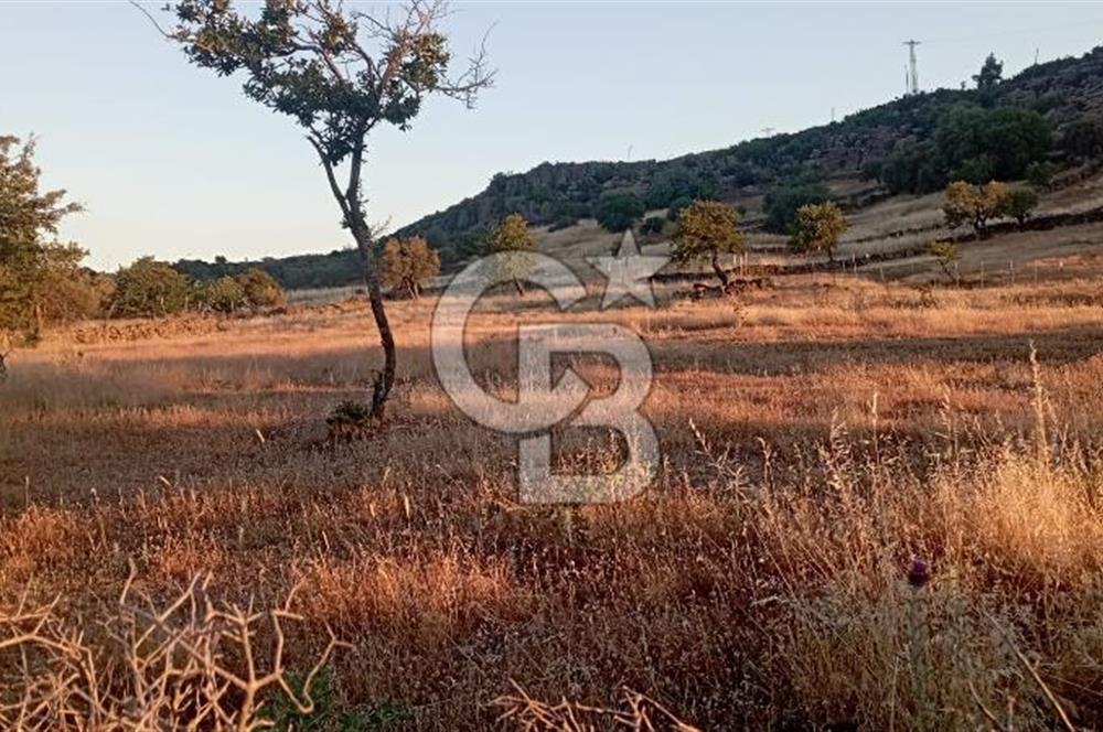 AYVACIK'TA YERLEŞİM YERİ YAKINI SATILIK FIRSAT TARLA