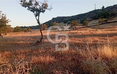 AYVACIK'TA YERLEŞİM YERİ YAKINI SATILIK FIRSAT TARLA