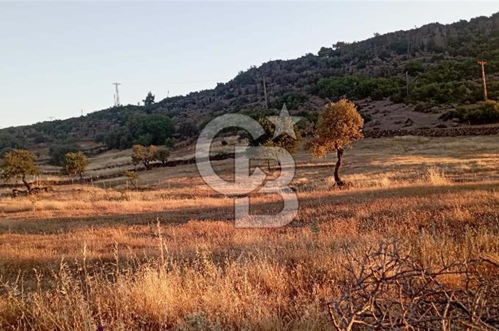 AYVACIK'TA YERLEŞİM YERİ YAKINI SATILIK FIRSAT TARLA
