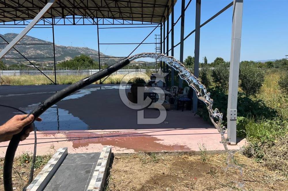KEMALPAŞA ARMUTLU ÇİFTLİK