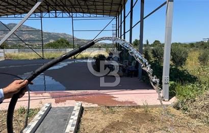 KEMALPAŞA ARMUTLU ÇİFTLİK