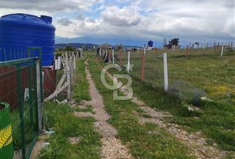 KEMALPAŞA DAMLACIK SATILIK BAHE - 1 - 361080