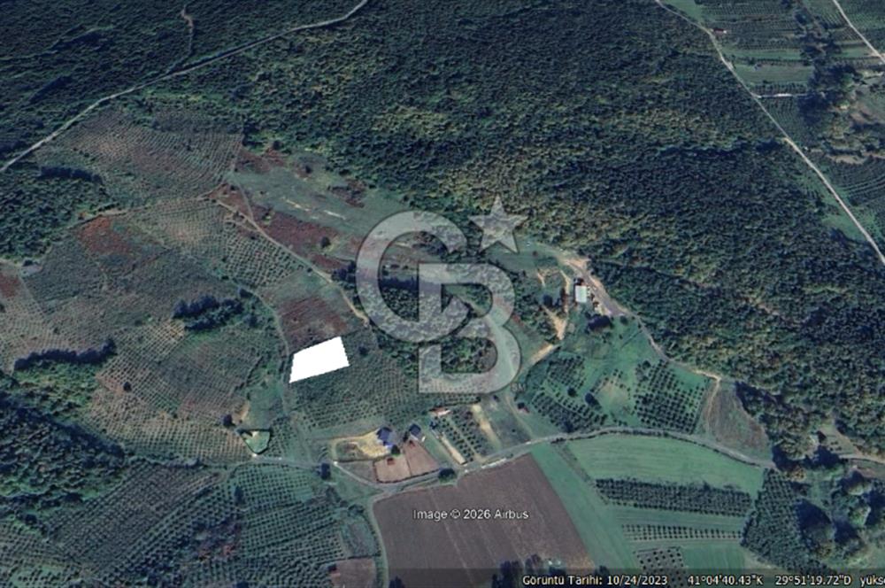 ŞİLE KALEM MÜSTAKİL 1.368 M2 SATILIK ARAZİ