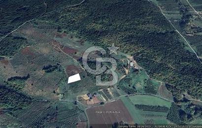 ŞİLE KALEM MÜSTAKİL 1.368 M2 SATILIK ARAZİ