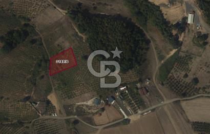 ŞİLE KALEM MÜSTAKİL 1.368 M2 SATILIK ARAZİ