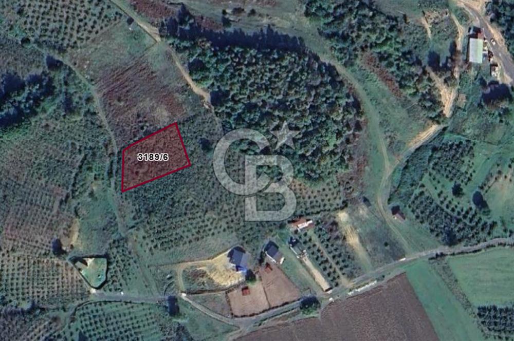 ŞİLE KALEM MÜSTAKİL 1.368 M2 SATILIK ARAZİ