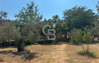 ESKİ FOÇA YOLU ÜZERİNDE İŞLETMEYE UYGUN ARSA