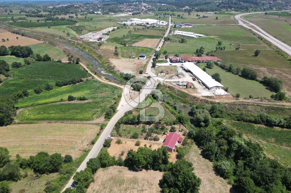 SAKARYA KAYNARCA'DA ASFALT YOLA CEPHE 711 M2 TARLA