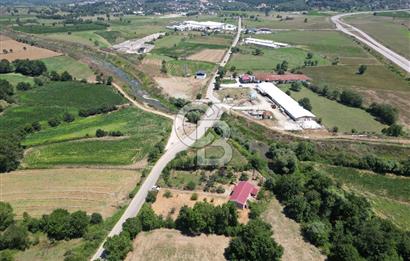 SAKARYA KAYNARCA'DA ASFALT YOLA CEPHE 711 M2 TARLA