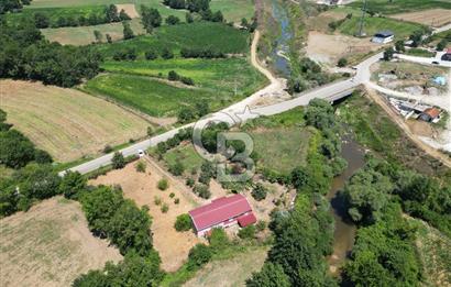 SAKARYA KAYNARCA'DA ASFALT YOLA CEPHE 711 M2 TARLA