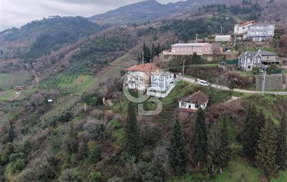 TEPEKÖY'DE FULL DENİZ MANZARALI 0.60 EMSAL SATILIK FIRSAT ARSA