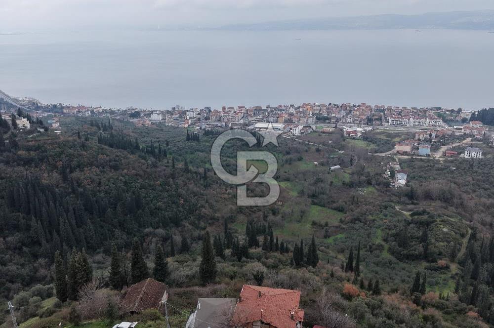 TEPEKÖY'DE FULL DENİZ MANZARALI 0.60 EMSAL SATILIK FIRSAT ARSA