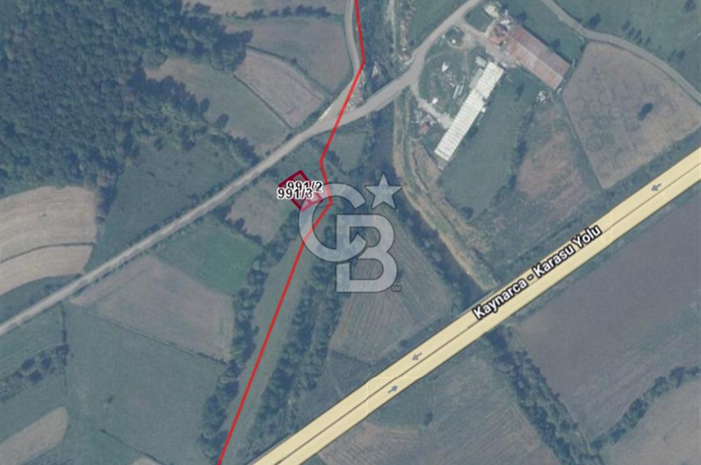 SAKARYA KAYNARCA'DA ASFALT YOLA CEPHE 711 M2 TARLA