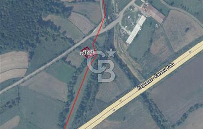 SAKARYA KAYNARCA'DA ASFALT YOLA CEPHE 711 M2 TARLA