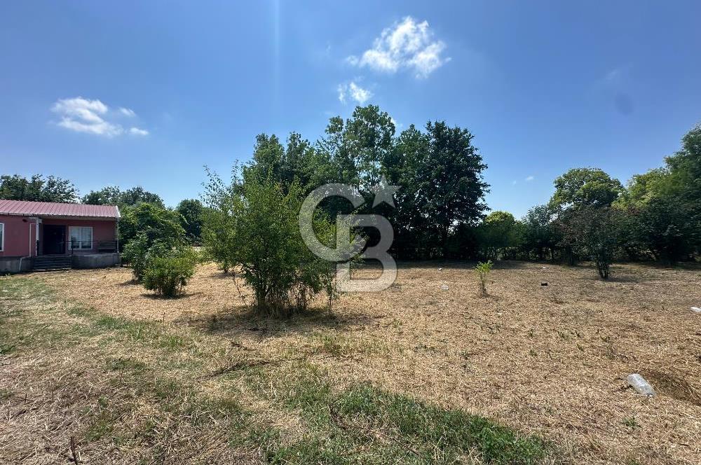 SAKARYA KAYNARCA'DA ASFALT YOLA CEPHE 711 M2 TARLA