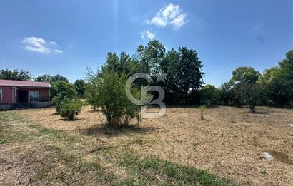 SAKARYA KAYNARCA'DA ASFALT YOLA CEPHE 711 M2 TARLA