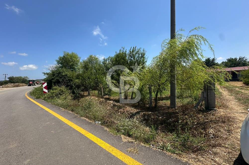 SAKARYA KAYNARCA'DA ASFALT YOLA CEPHE 711 M2 TARLA