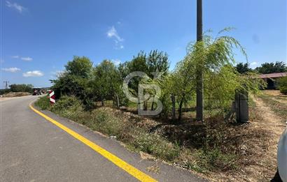SAKARYA KAYNARCA'DA ASFALT YOLA CEPHE 711 M2 TARLA