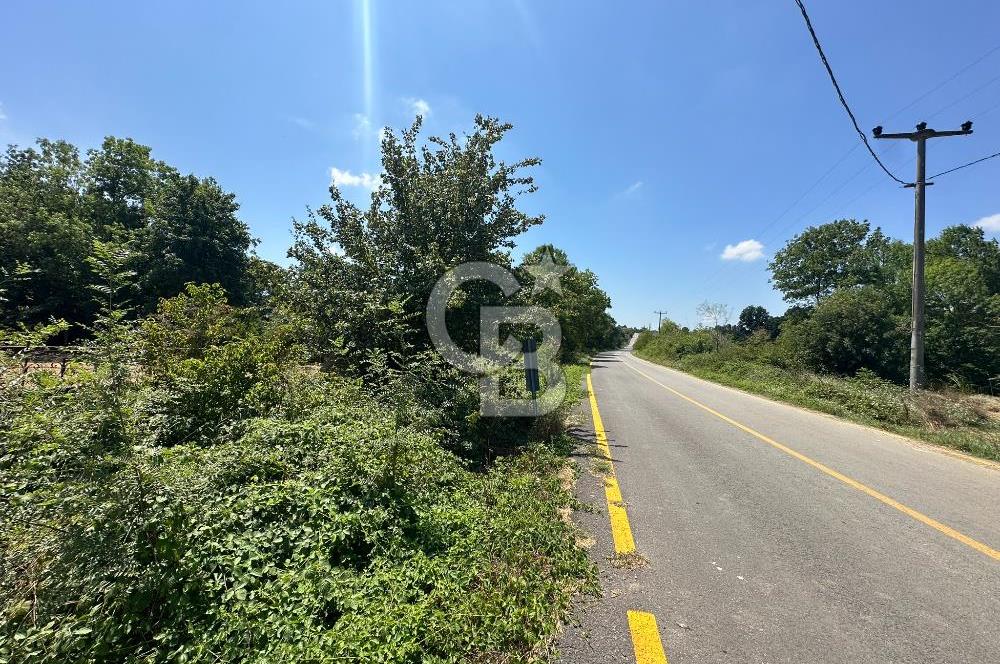 SAKARYA KAYNARCA'DA ASFALT YOLA CEPHE 711 M2 TARLA