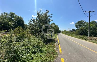 SAKARYA KAYNARCA'DA ASFALT YOLA CEPHE 711 M2 TARLA