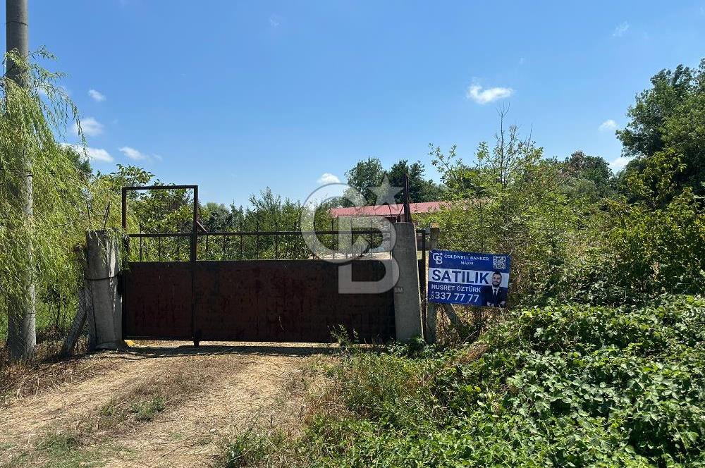 SAKARYA KAYNARCA'DA ASFALT YOLA CEPHE 711 M2 TARLA