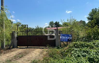 SAKARYA KAYNARCA'DA ASFALT YOLA CEPHE 711 M2 TARLA