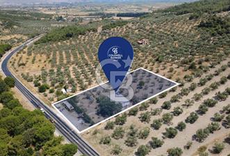 ESKİ FOÇA YOLU ÜZERİNDE İŞLETMEYE UYGUN ARSA - 11 - 361112