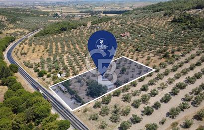 ESKİ FOÇA YOLU ÜZERİNDE İŞLETMEYE UYGUN ARSA